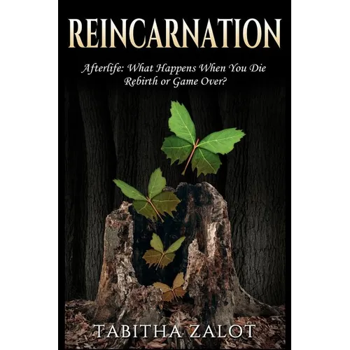 Reincarnation: Afterlife: Life After Death - What Happens When You Die? Rebirth or Game Over? - Paperback