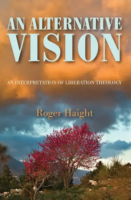An Alternative Vision - Paperback
