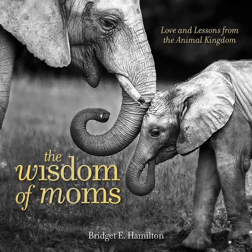 The Wisdom of Moms: Love and Lessons from the Animal Kingdom - Hardcover