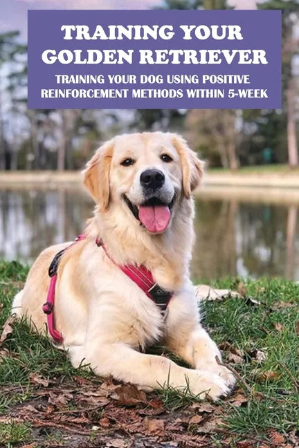 Training Your Golden Retriever: Training Your Dog Using Positive Reinforcement Methods Within 5-Week: Benefits Of Positive Reinforcement - Paperback