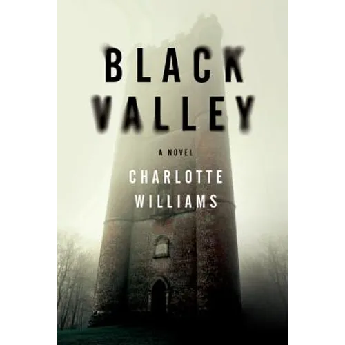 Black Valley - Paperback