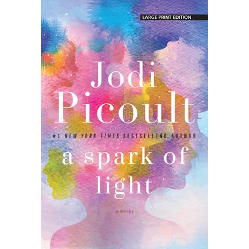 A Spark of Light - Library Binding