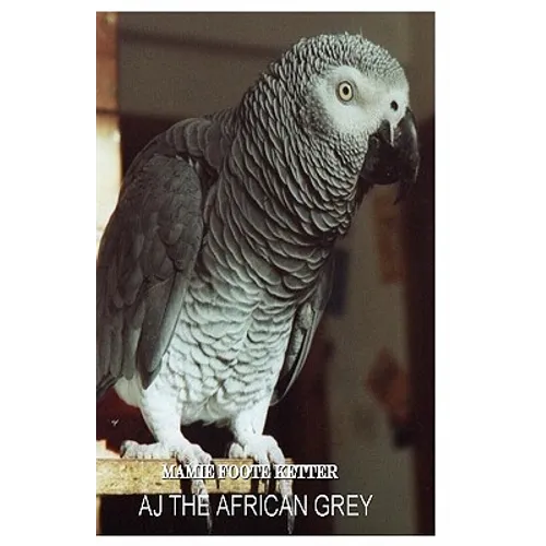AJ The African Grey - Paperback