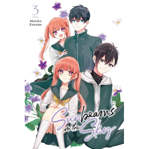 Sunbeams in the Sky, Vol. 3 - Paperback