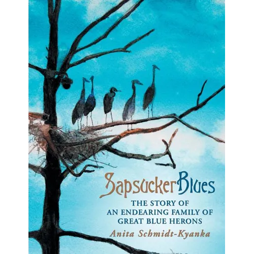 Sapsucker Blues: The Story of an Endearing Family of Great Blue Herons - Paperback