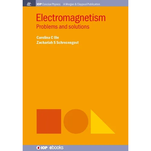 Electromagnetism: Problems and Solutions - Hardcover