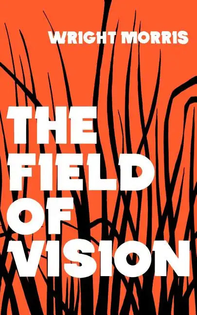 The Field of Vision - Paperback