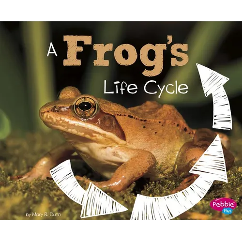 A Frog's Life Cycle - Paperback