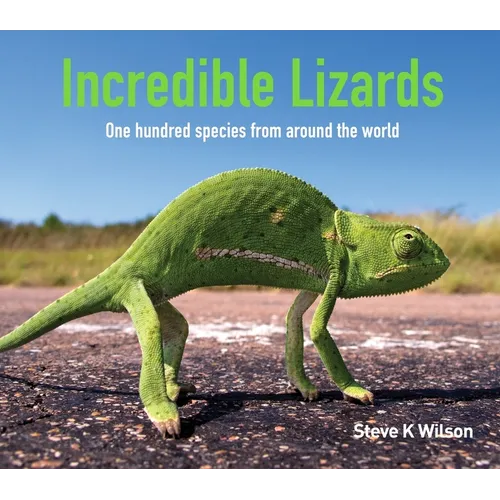 Incredible Lizards: One Hundred Species from Around the World - Hardcover
