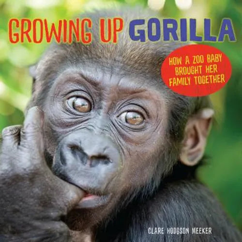 Growing Up Gorilla: How a Zoo Baby Brought Her Family Together - Library Binding