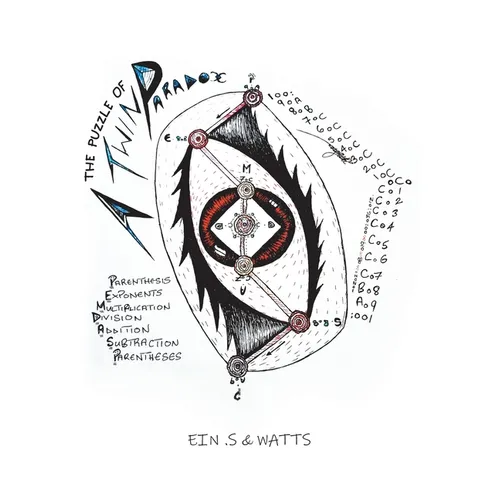 The Puzzle of a Twin Paradox - Paperback