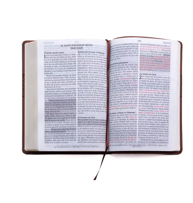 Santa Biblia de Promesas Reina Valera 1960 / Letra Gigante - 13 Puntos / Piel Especial Con Índice Y Cierre / Café // Spanish Promise Bible Rvr 1960 / - Imitation Leather