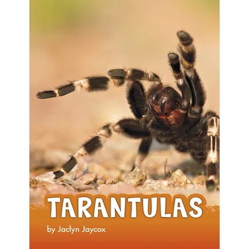Tarantulas - Hardcover