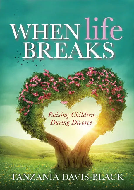 When Life Breaks: Raising Children During Divorce - Paperback