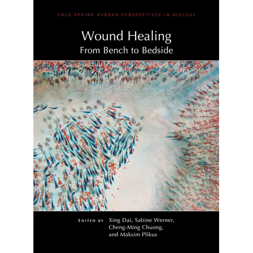 Wound Healing: From Bench to Bedside - Hardcover