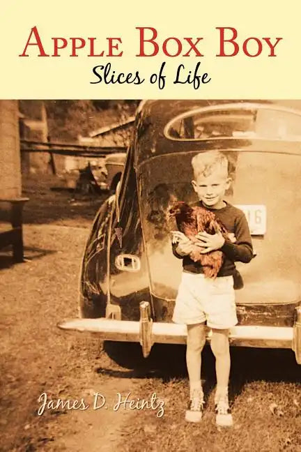 Apple Box Boy: Slices of Life - Paperback