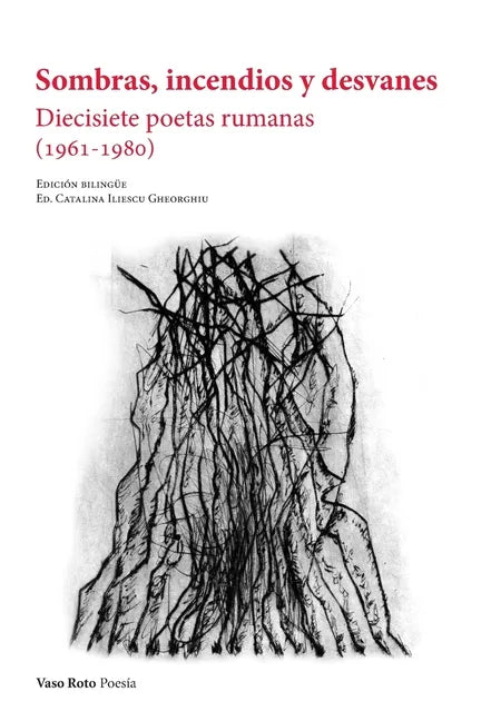 Sombras, incendios y desvanes - Paperback