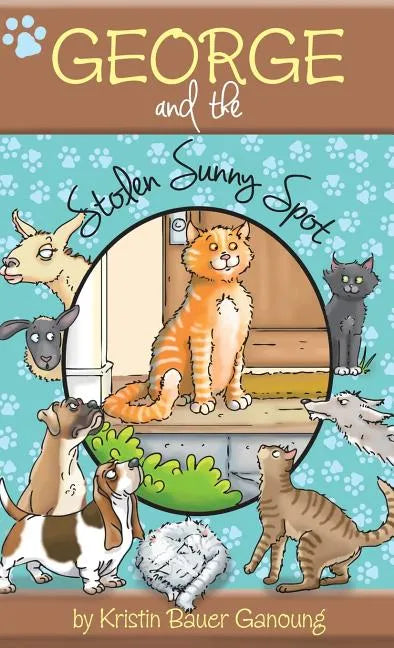 George and the Stolen Sunny Spot - Hardcover