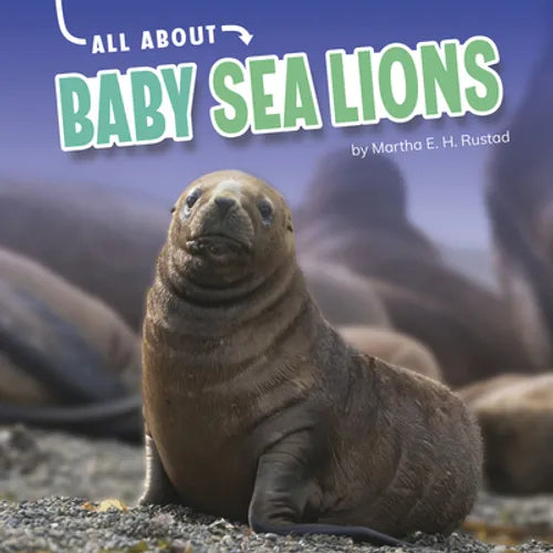 All about Baby Sea Lions - Hardcover