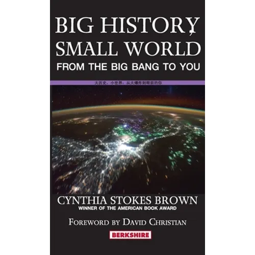 Big History, Small World: From the Big Bang to You - Hardcover