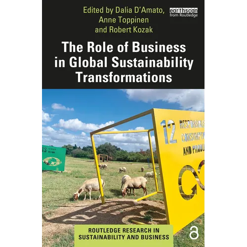 The Role of Business in Global Sustainability Transformations - Paperback