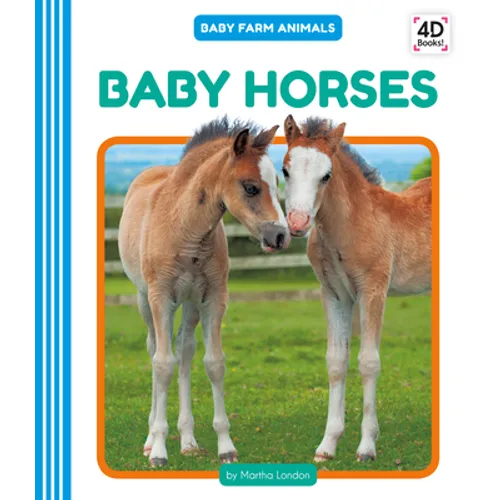 Baby Horses - Library Binding