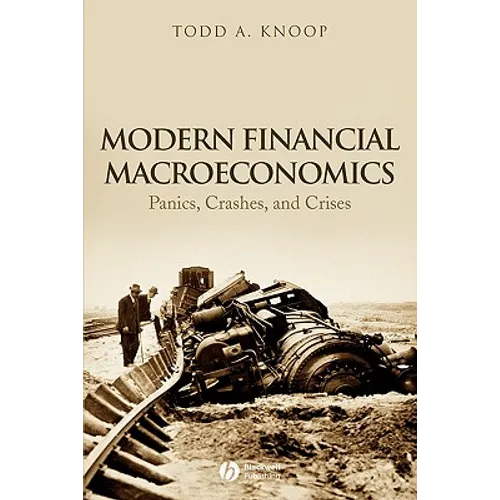 Modern Financial Macroeconomics: Panics, Crashes, and Crises - Paperback