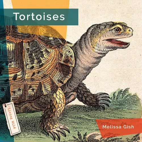 Tortoises - Library Binding