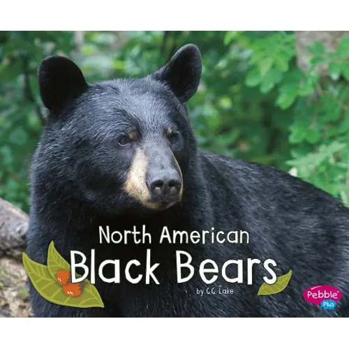 North American Black Bears - Hardcover