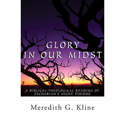 Glory in Our Midst: A Biblical-Theological Reading of Zechariah's Night Visions - Paperback