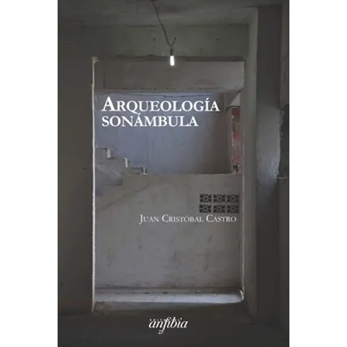Arqueología sonámbula - Paperback