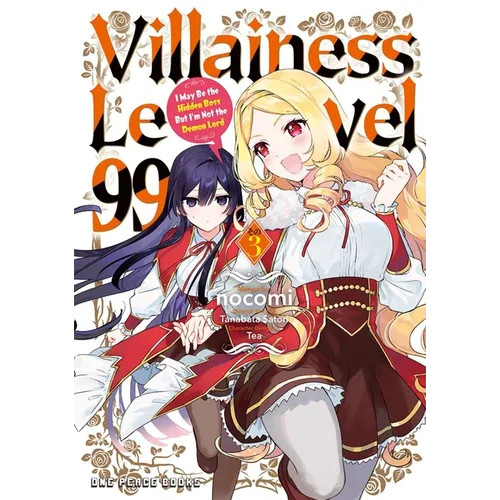 Villainess Level 99 Volume 3: I May Be the Hidden Boss But I'm Not the Demon Lord - Paperback