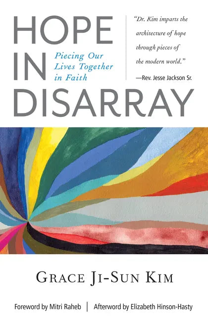 Hope in Disarray - Paperback