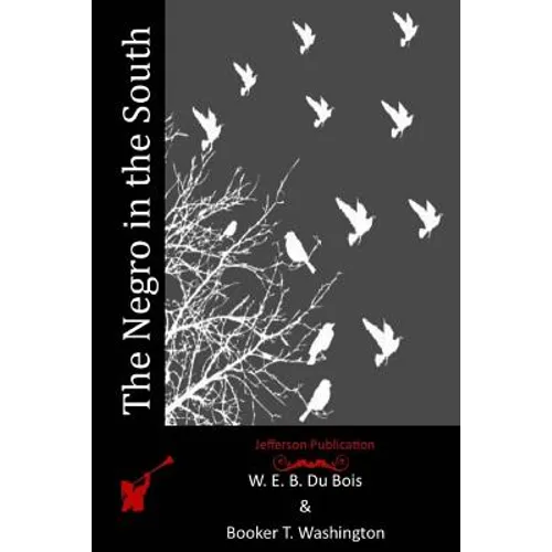 The Negro in the South - Paperback