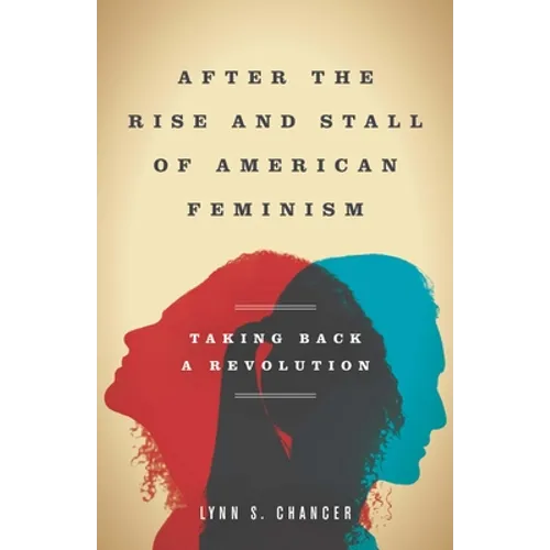 After the Rise and Stall of American Feminism: Taking Back a Revolution - Hardcover