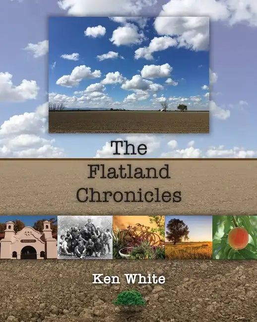 The Flatland Chronicles - Paperback