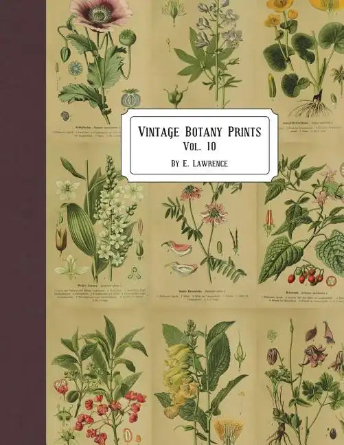 Vintage Botany Prints: Vol. 10 - Paperback