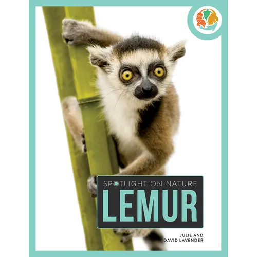 Lemur - Hardcover