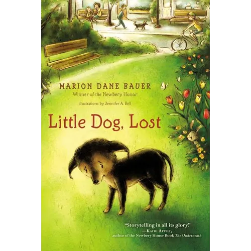 Little Dog, Lost - Paperback
