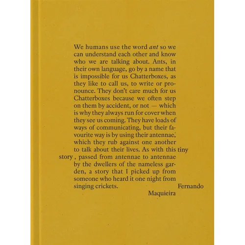 Fernando Maquieira: A Tiny Story - Hardcover