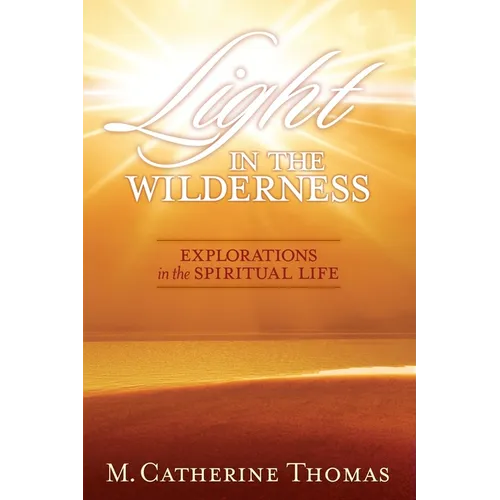 Light in the Wilderness: Explorations in the Spiritual Life - Paperback
