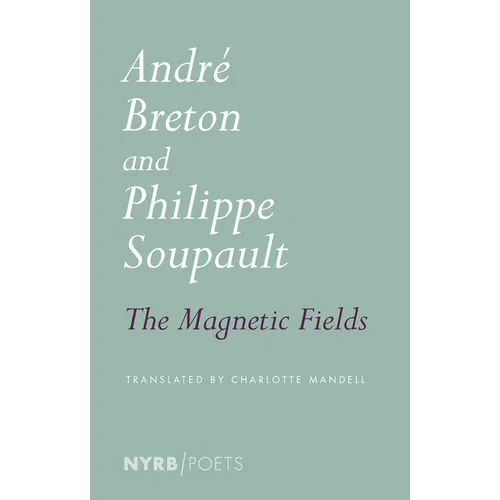 The Magnetic Fields - Paperback
