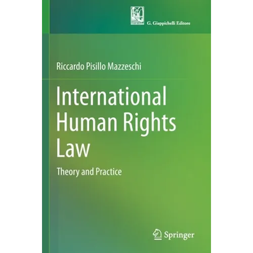 International Human Rights Law: Theory and Practice - Paperback