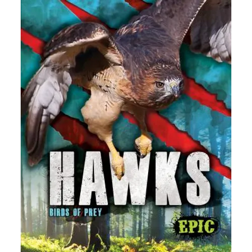 Hawks: Birds of Prey - Library Binding
