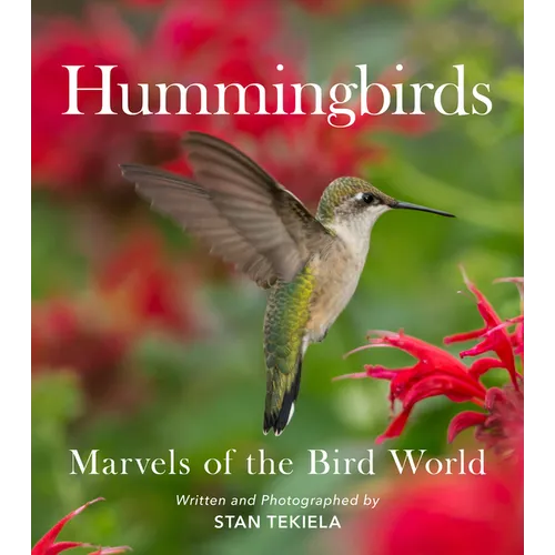 Hummingbirds: Marvels of the Bird World - Paperback