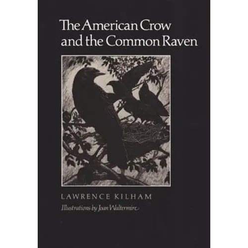 The American Crow & Common Raven - Paperback
