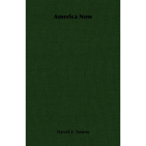America Now - Paperback