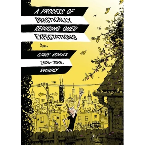 A Process of Drastically Reducing One's Expectations - Paperback