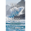 Why You Are Here: and other stories - Paperback