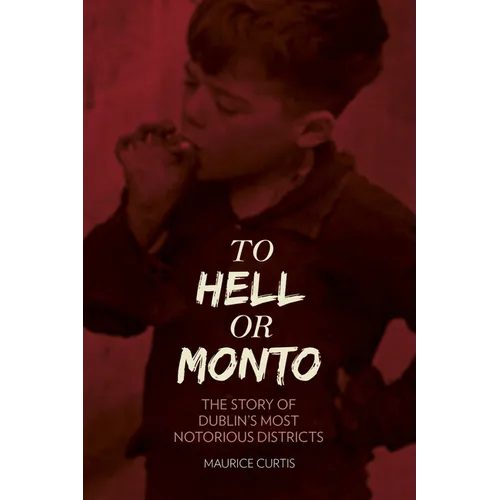 To Hell or Monto: The Story of Dublin's Most Notorious Districts - Paperback